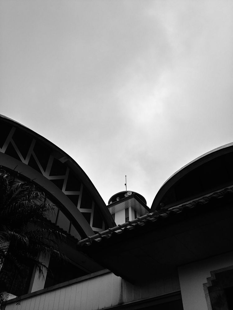 Photo #9008526