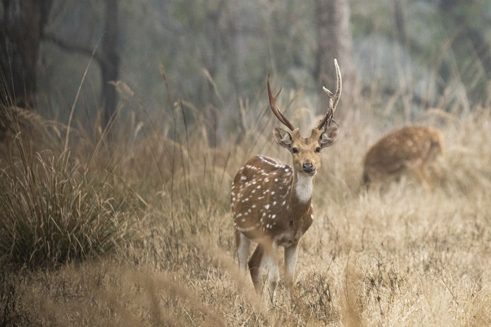 Photograph by Santhosh GVN
