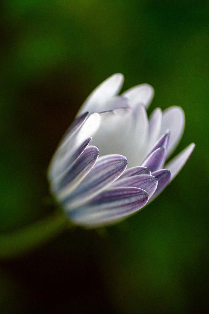 Photograph by Santhosh GVN