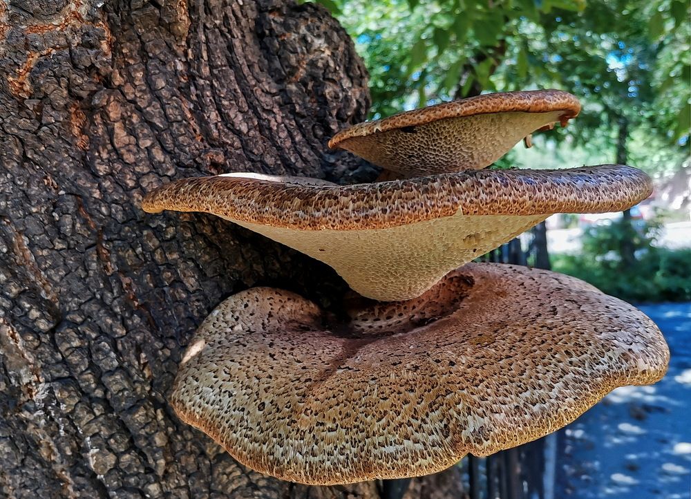 Фотография автора АЛЕКСАНДР ЦЫГЕЛЬНЮК