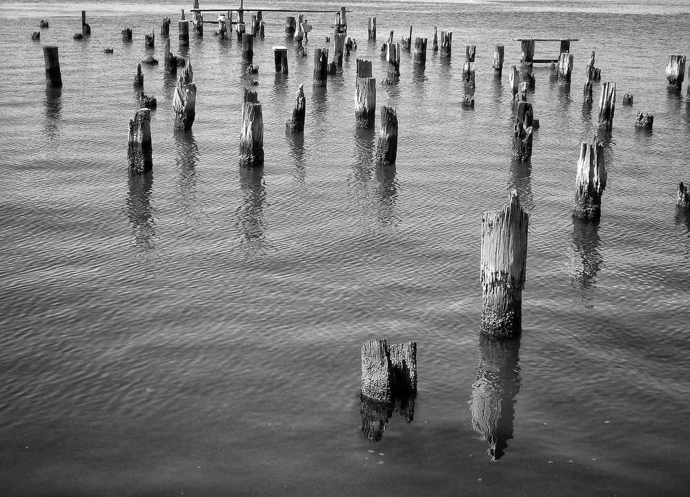 Photograph by Alex Rodriguez