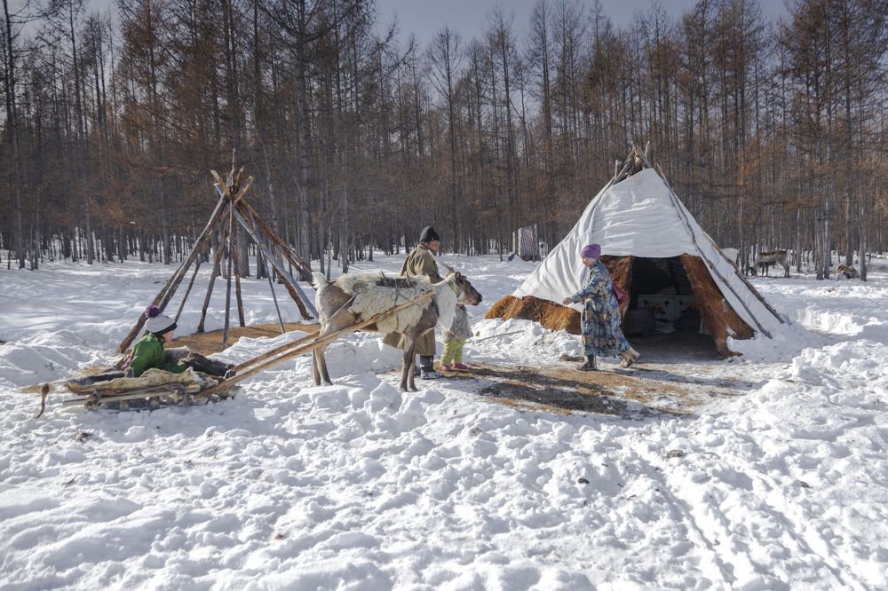 Photograph by Dashzeveg Dorjkhuyag