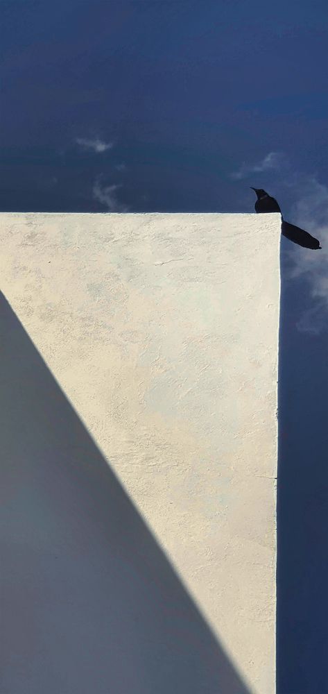 Photograph by Gil V Ribeiro