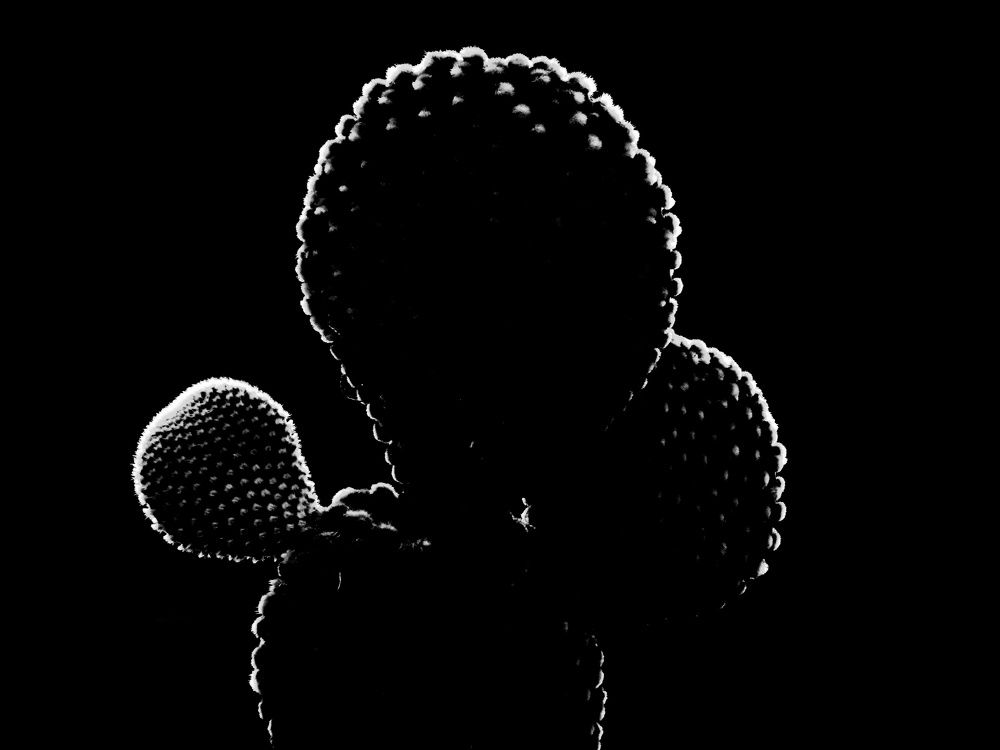 Photograph by Alejandro Rodriguez