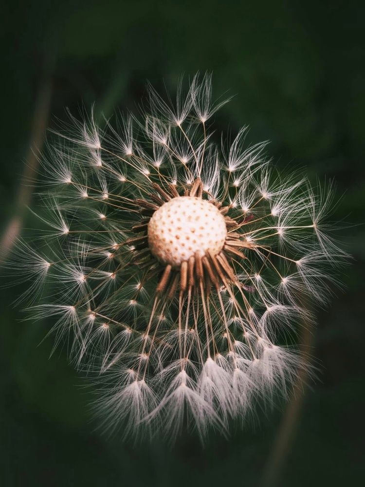 Photograph by Александра Королёва