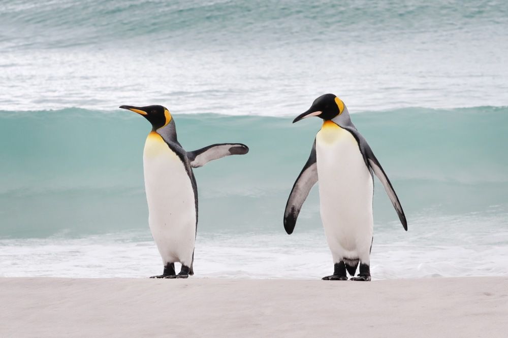 Photograph by RT photo