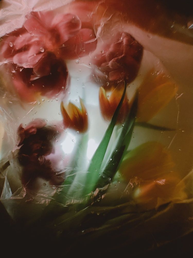 Photograph by Екатерина Варнавская