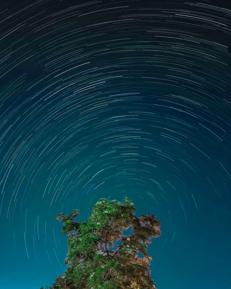 Фотография автора Jayesh Rajput