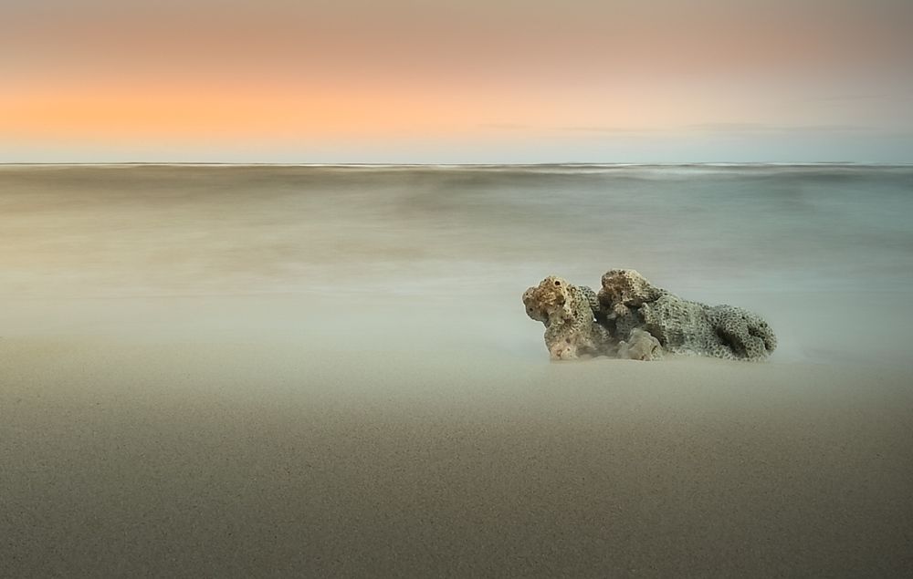 Photograph by Ian Christopher Valenzuela