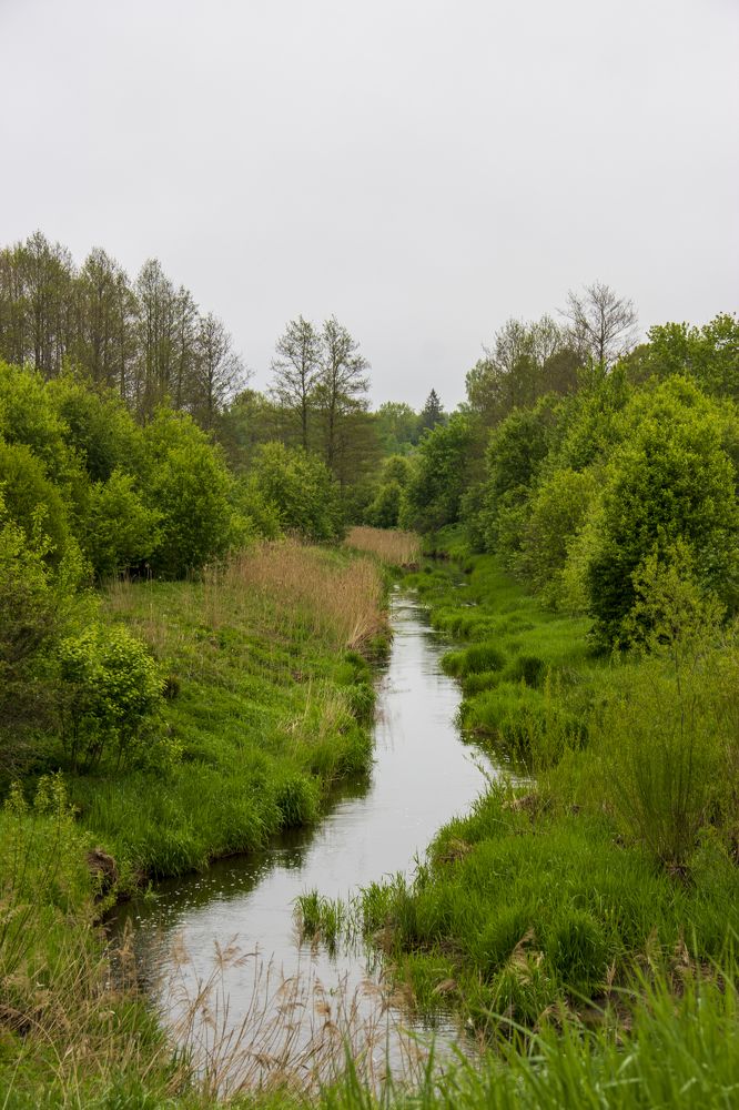 Река Струна