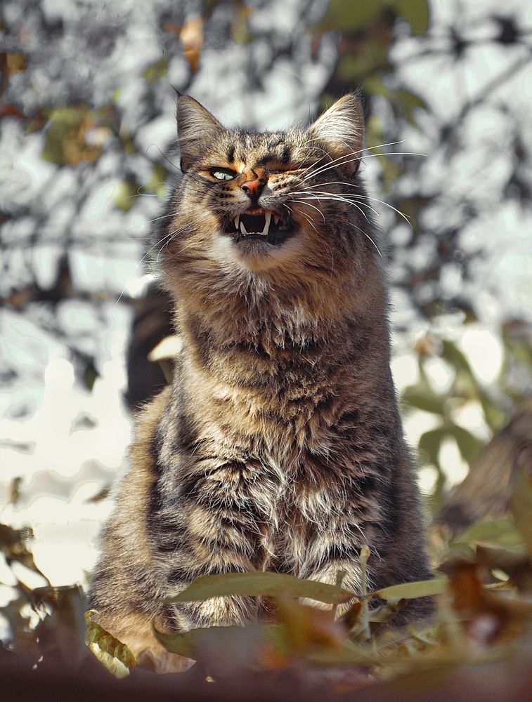 Photograph by Константин Мишнаевский