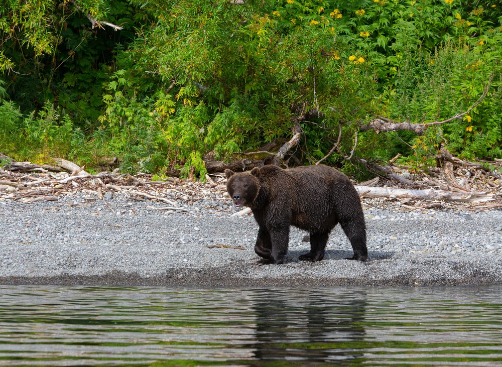 Photograph by Максин Александр