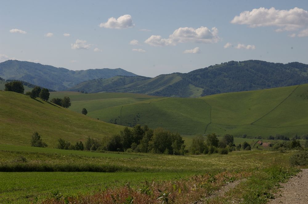 Photograph by Елена Алешкевич