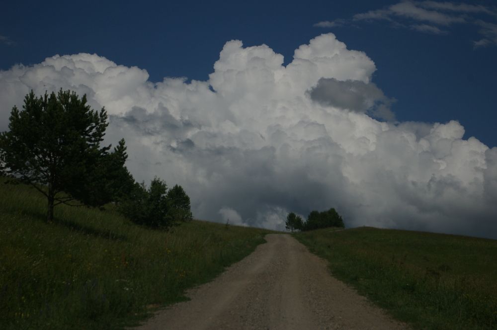 Photograph by Елена Алешкевич