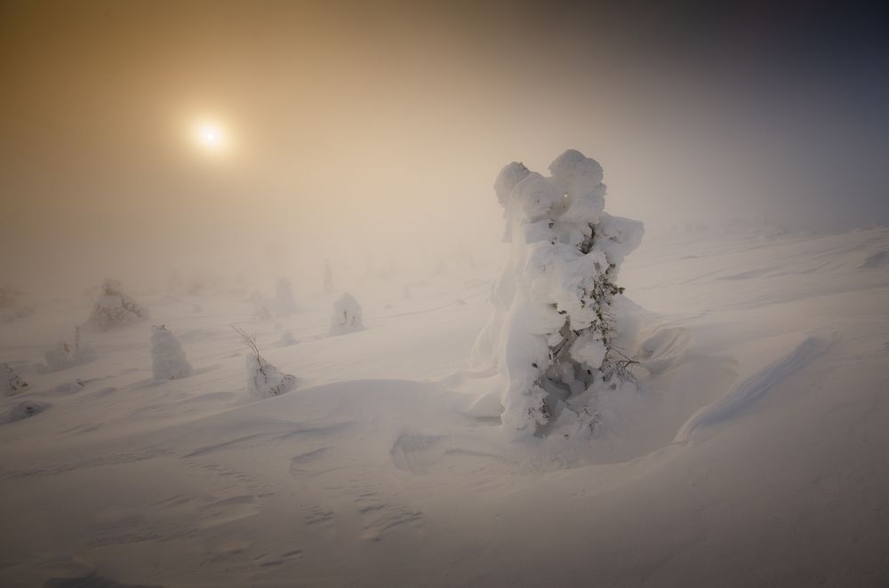 Photograph by Абрамов Денис