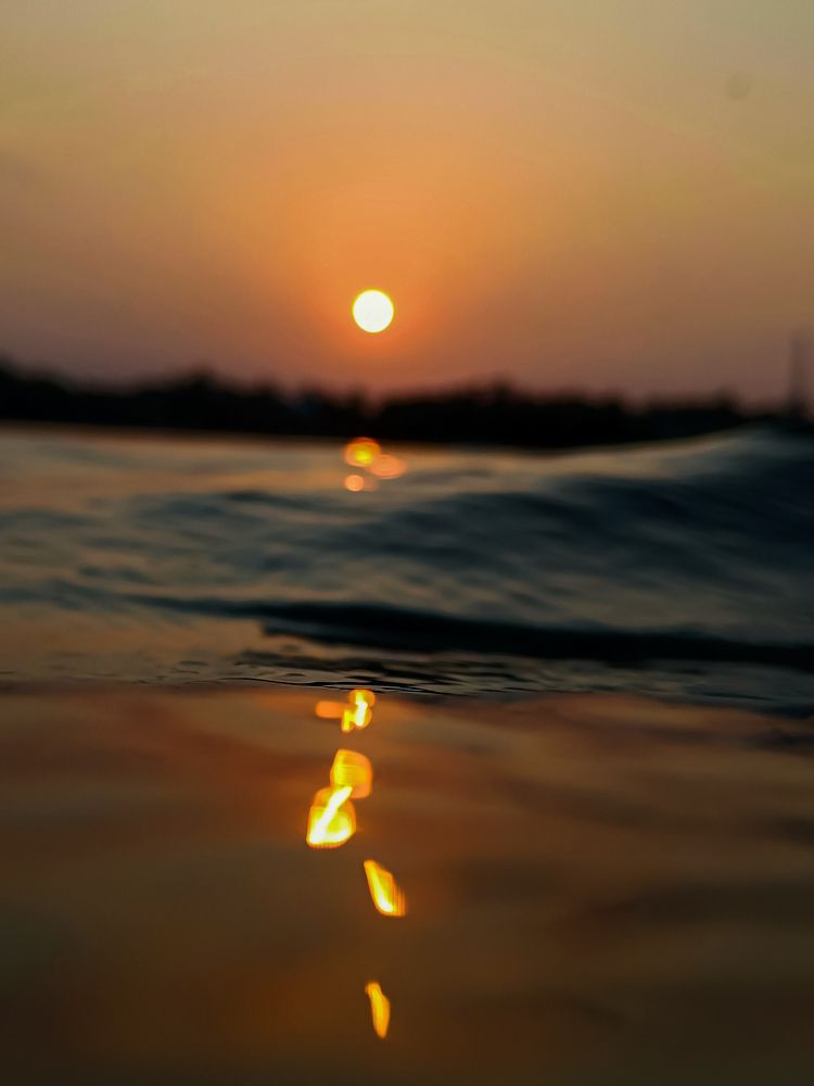 Photograph by Gokulananthan