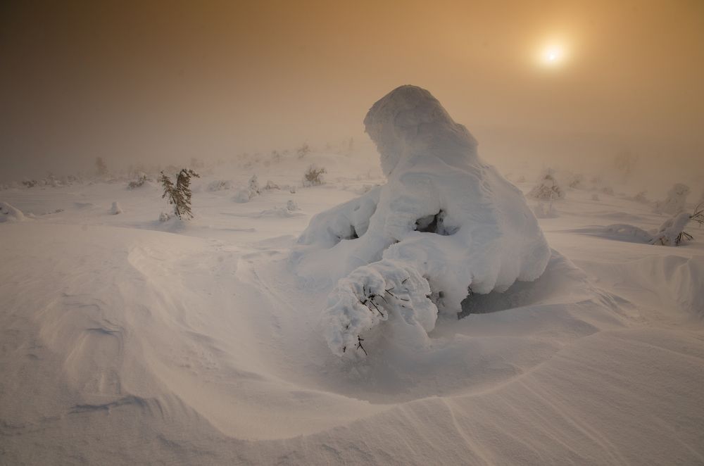 Photograph by Абрамов Денис