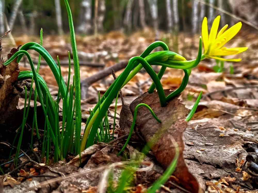 Photograph by Александра Королёва