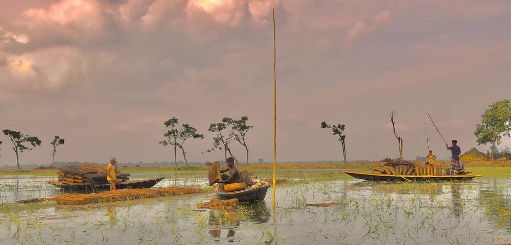 Photograph by Zahid Hasan