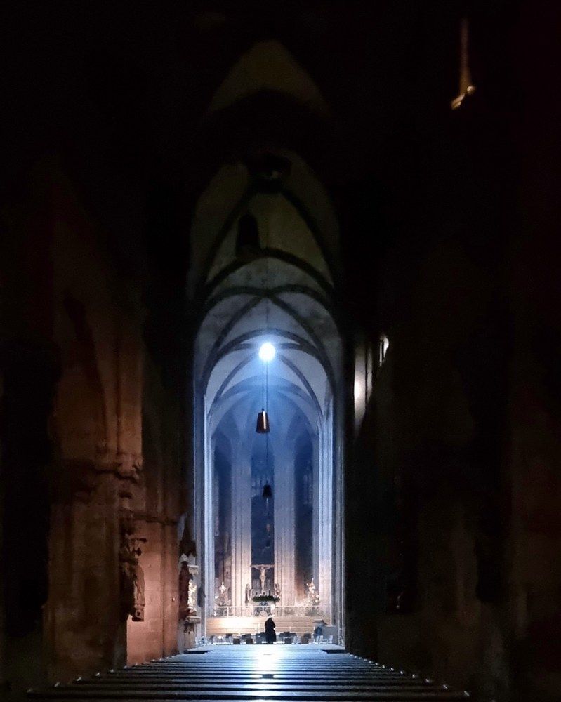 Photograph by Светлана