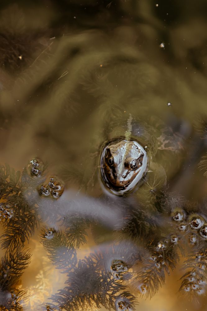 Photograph by Санжарова Валерия