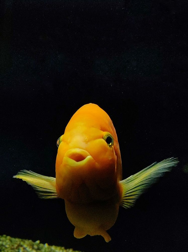 Photograph by Shankhadip Choudhury