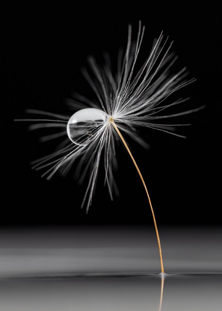 Photograph by Mihai Popa