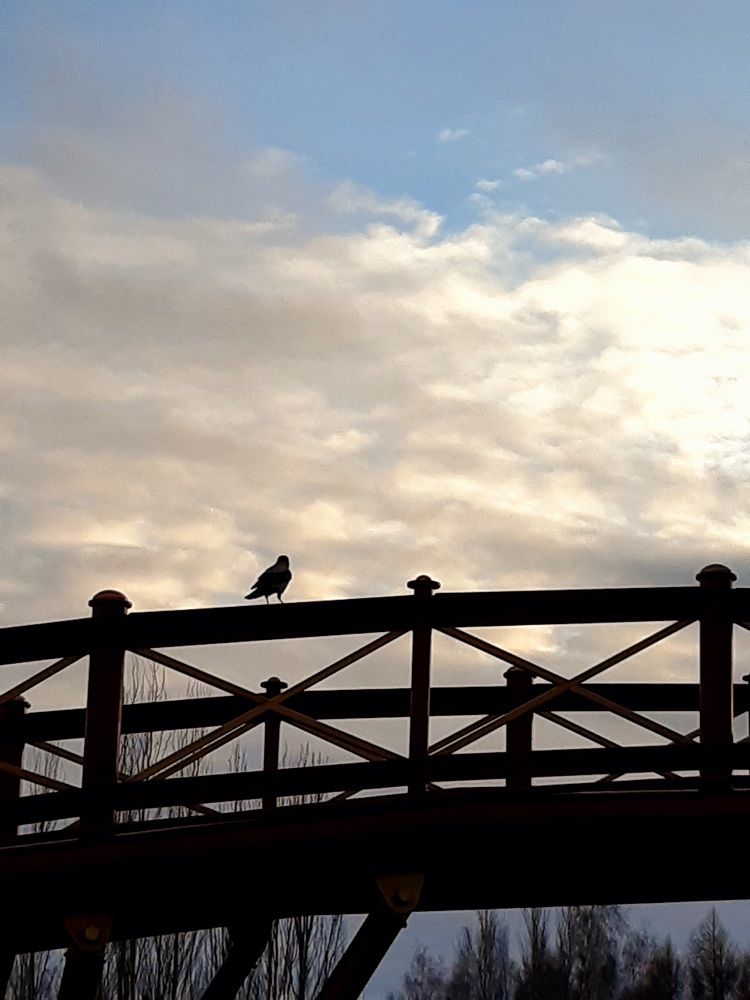 Фотография автора Наталья Шендяпина