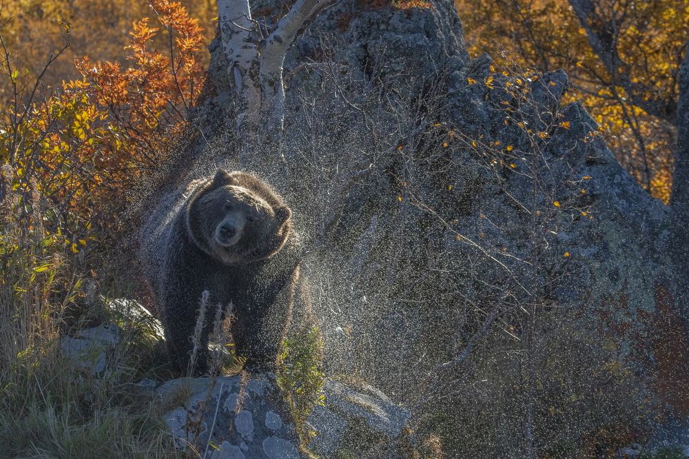 Photograph by Вадим Ньютон