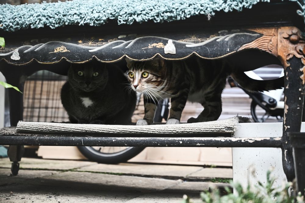 Photograph by VLAD KOTLIS