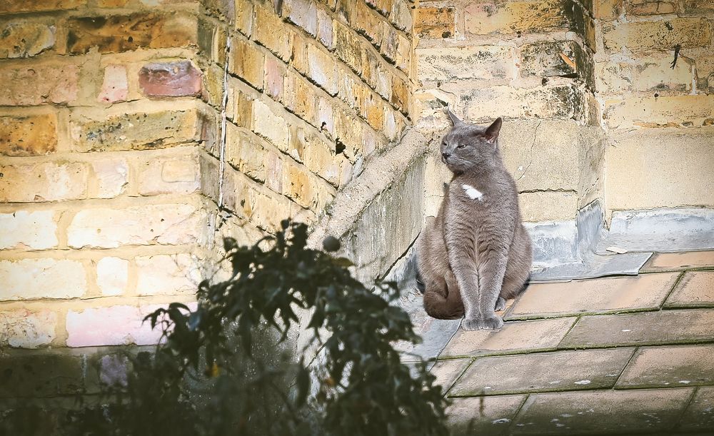 Photograph by VLAD KOTLIS