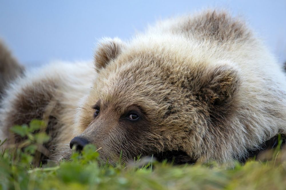 Photograph by Вадим Ньютон