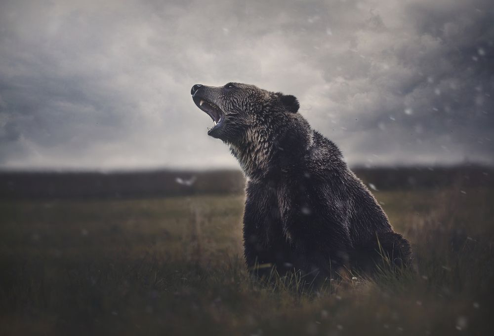 Photograph by Anna Yarkova