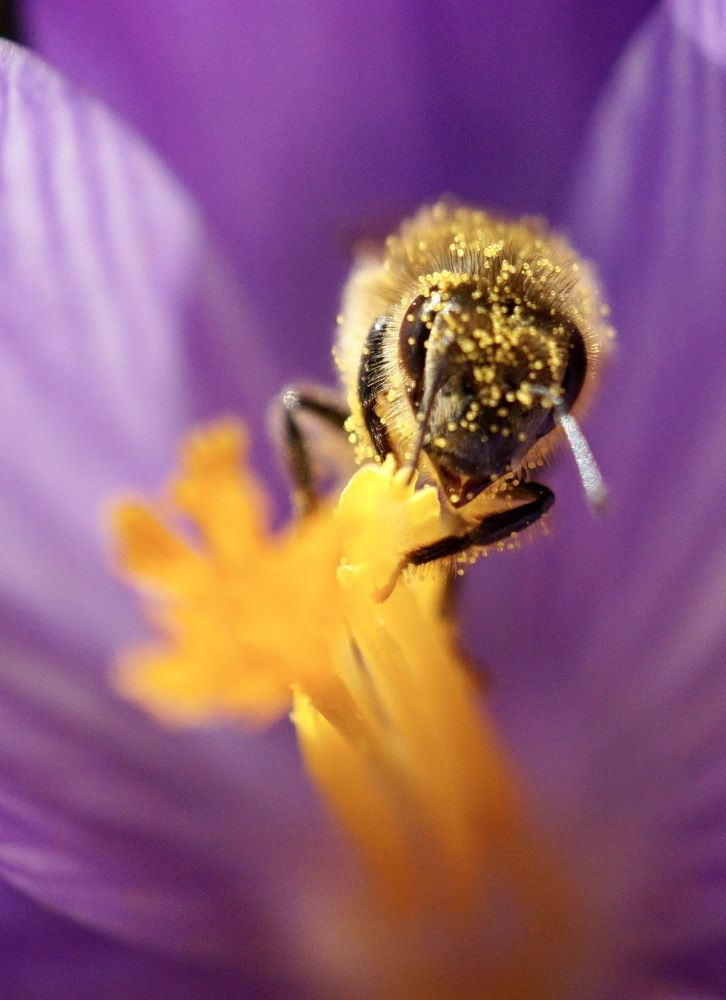 Фотография автора Liudmila Kiermeier