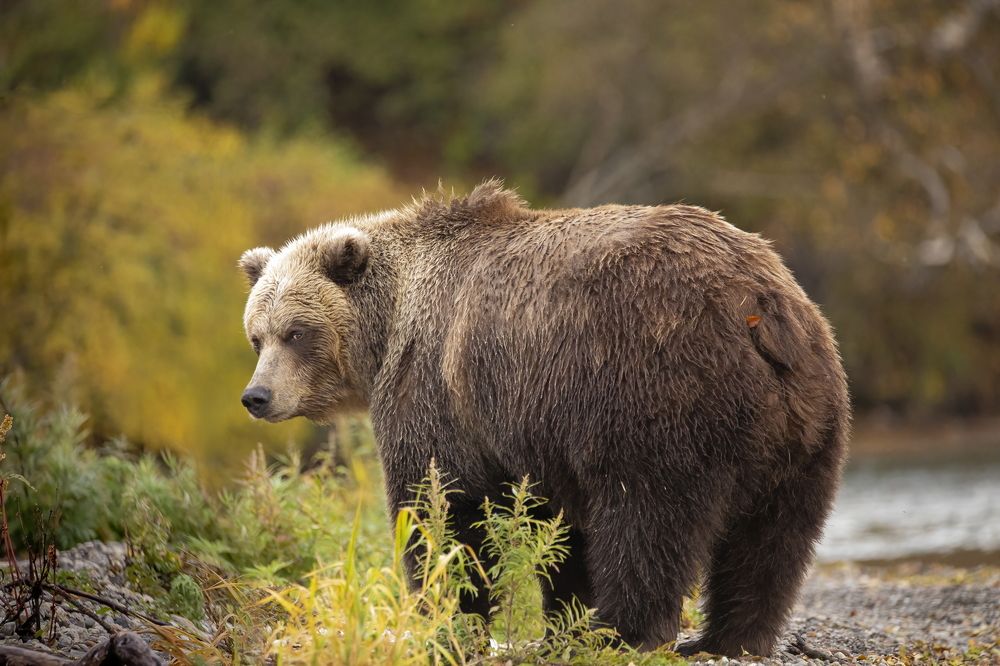 Photograph by Вадим Ньютон