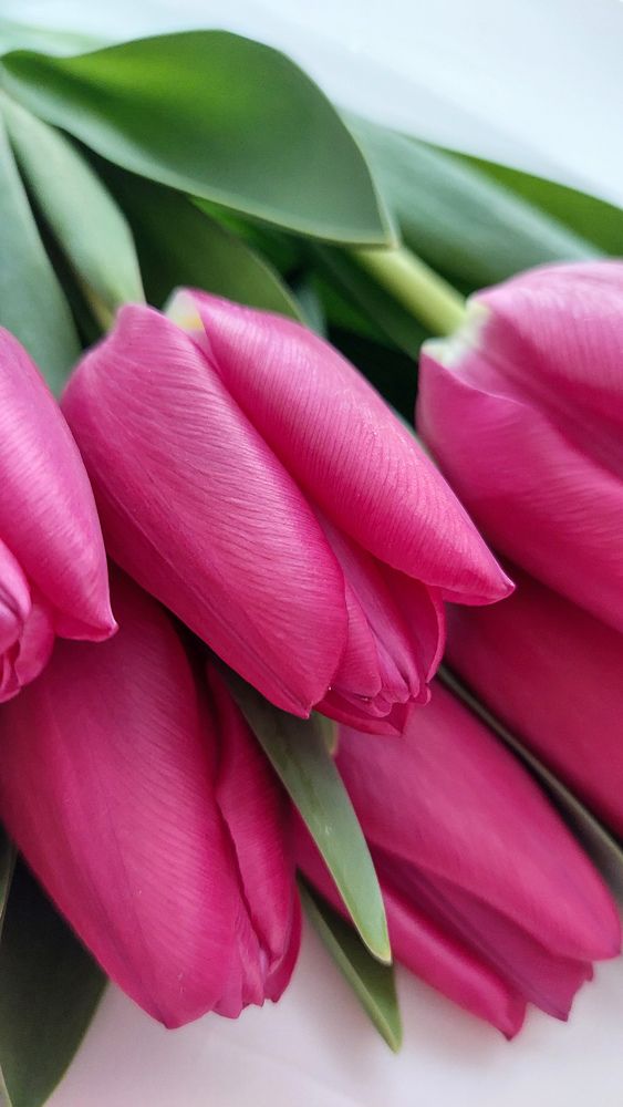 Photograph by Ирина Шидловская