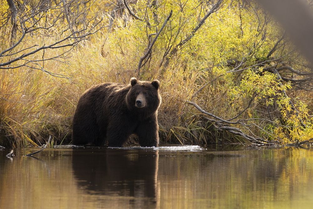 Photograph by Вадим Ньютон
