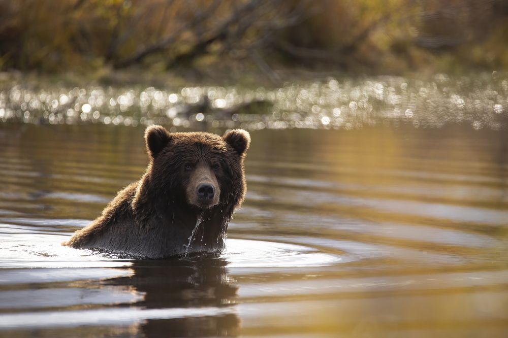 Photograph by Вадим Ньютон