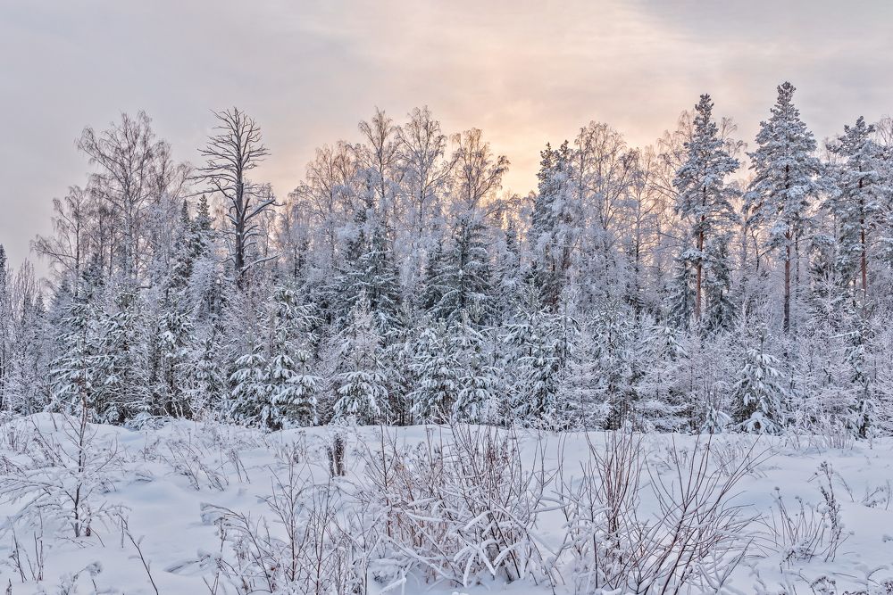 Photograph by Вячеслав Овчинников