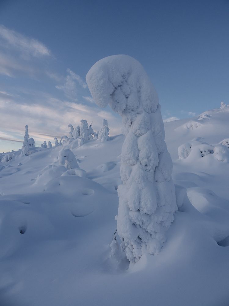 Photograph by Анна Шейко