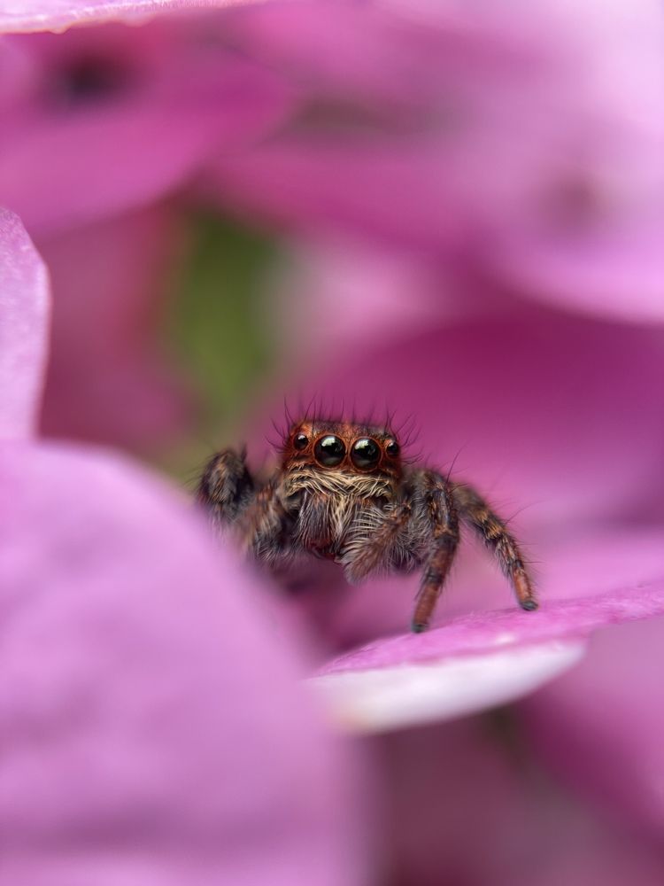 Photograph by Prasanth V