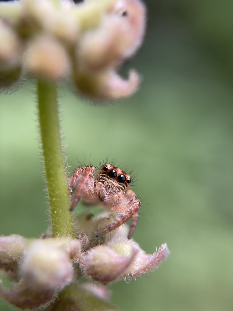 Photograph by Prasanth V