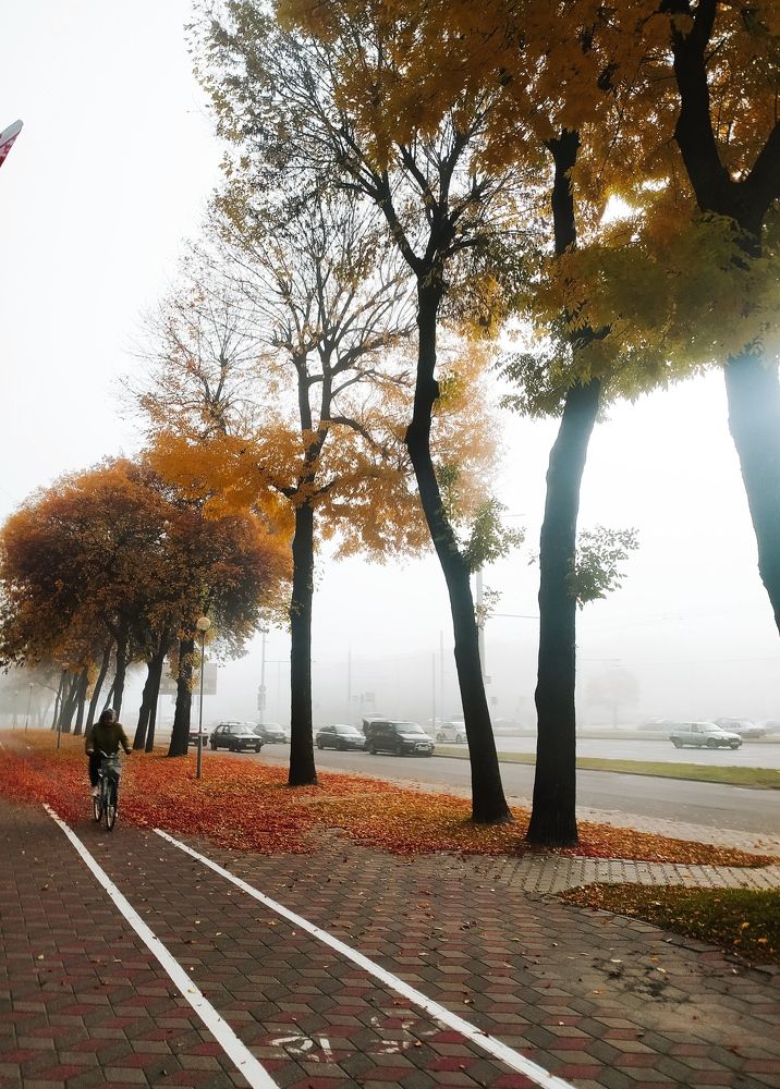 Photograph by Ирина Половцева