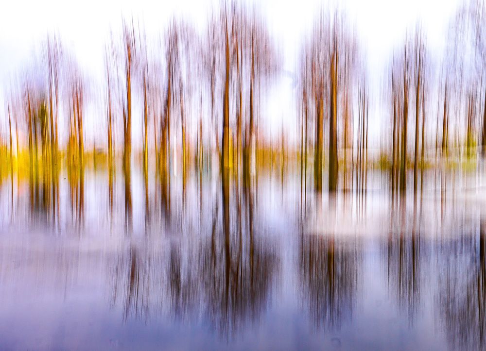 Photograph by Rachid Ayadi