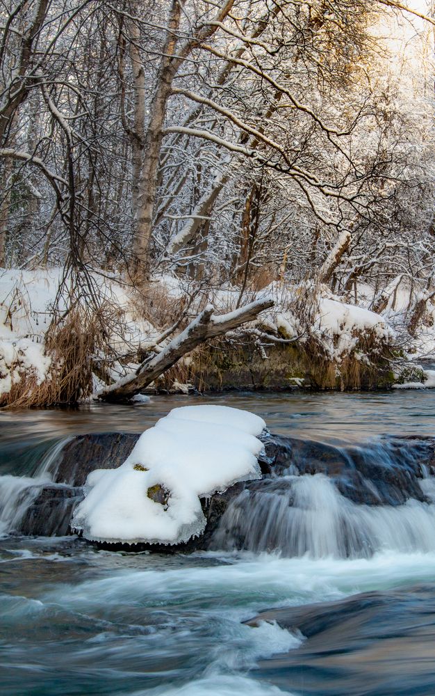 Photograph by Ирина Крепак