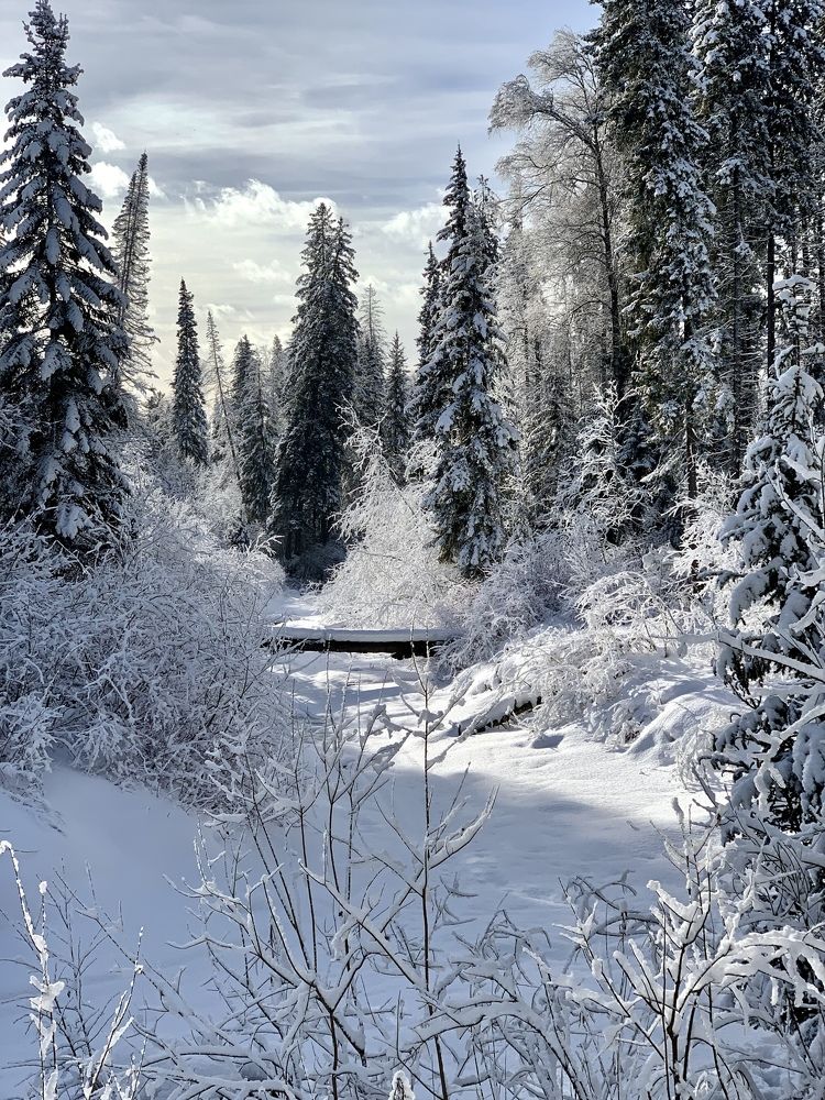 Фотография автора Oleg Matronitskiy