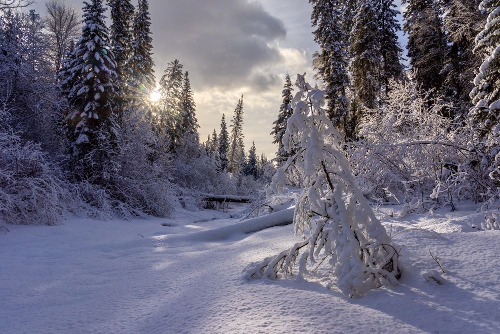Фотография автора Oleg Matronitskiy