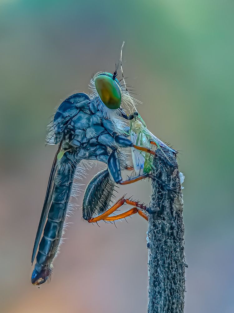 Photograph by Rahul Dey