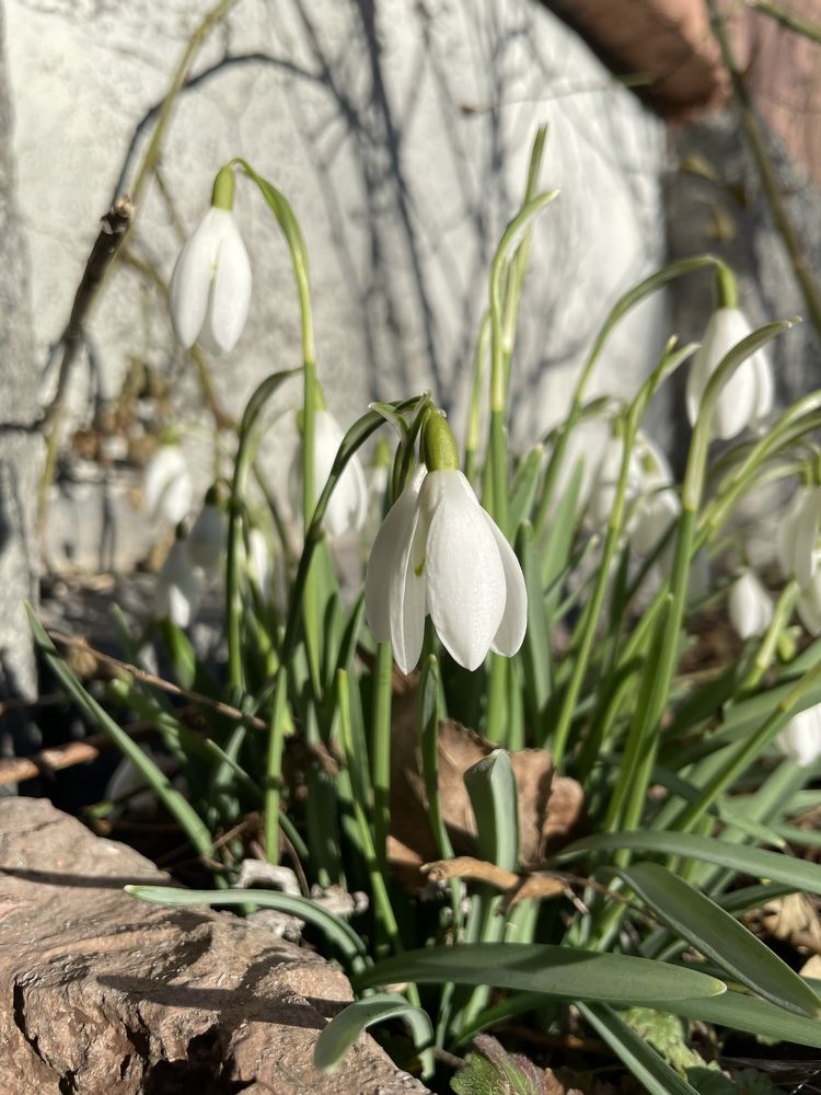 Photograph by Maria Yeromina