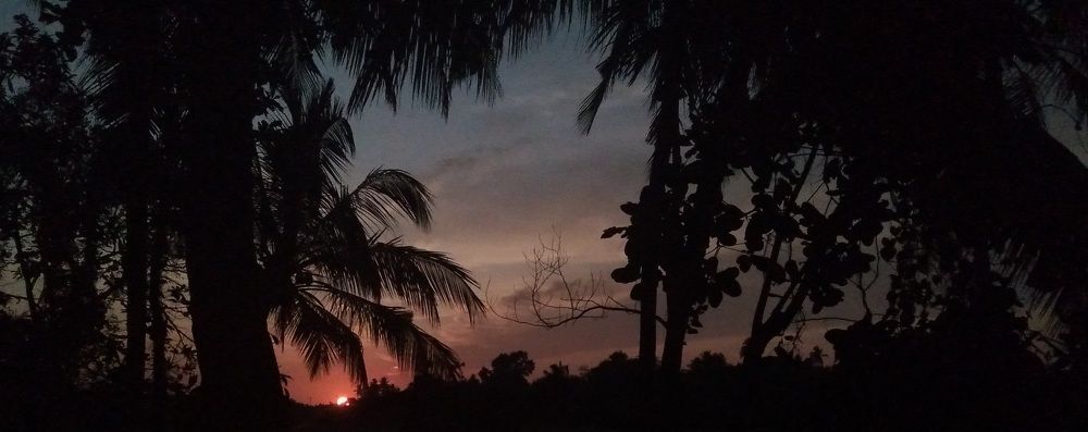 Photo #9009955